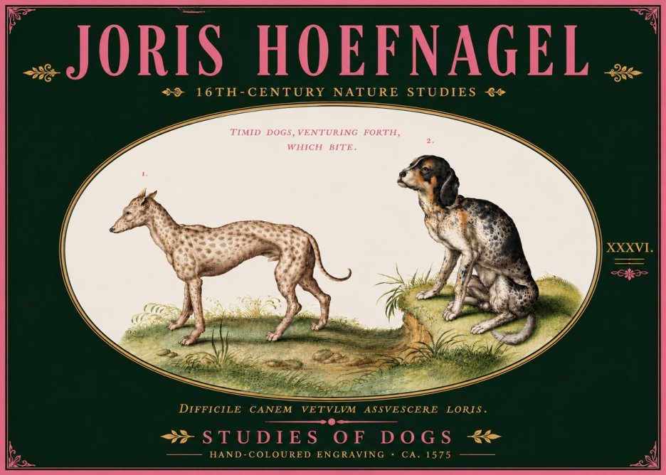 Joris Hoefnagel Studies of Dogs No6 - Juliste