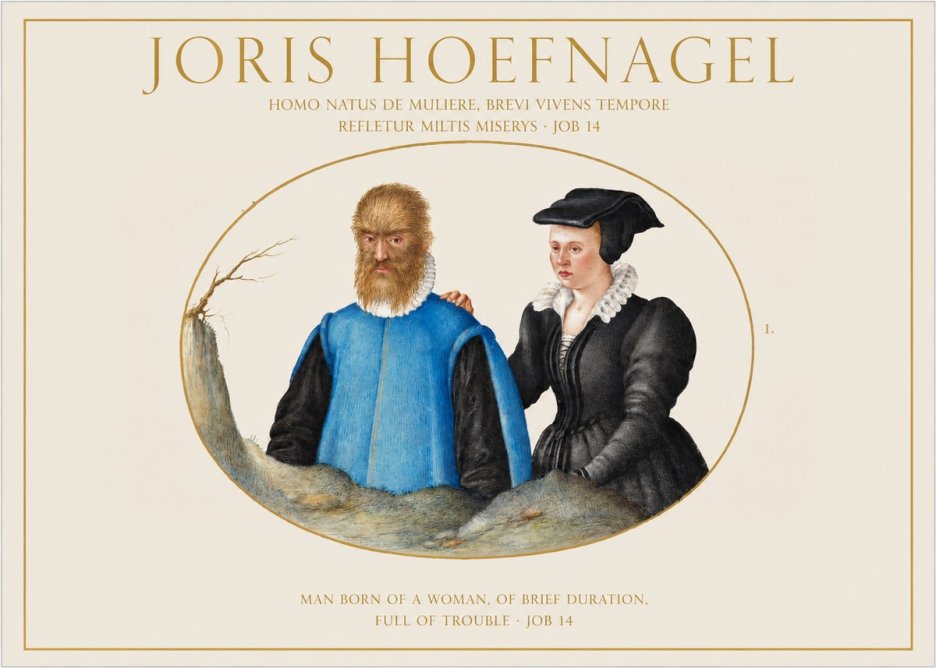 Joris Hoefnagel Homo Natus De Muliere, Brevi Vivens Tempore Refletur Miltis Miserys · Job 14 No1 - Juliste