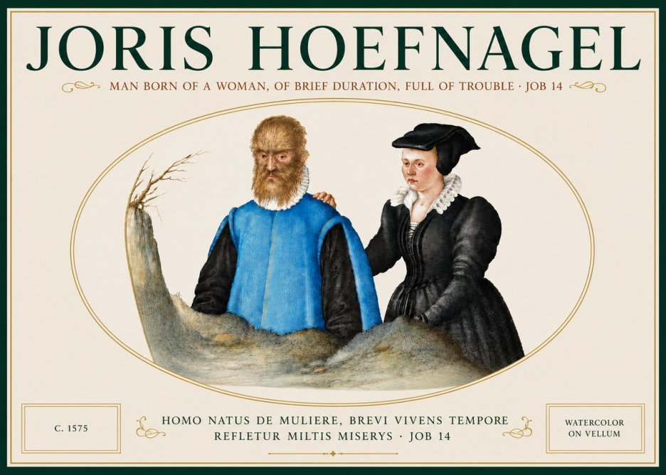 Joris Hoefnagel Homo Natus De Muliere, Brevi Vivens Tempore Refletur Miltis Miserys · Job 14 No5 - Juliste