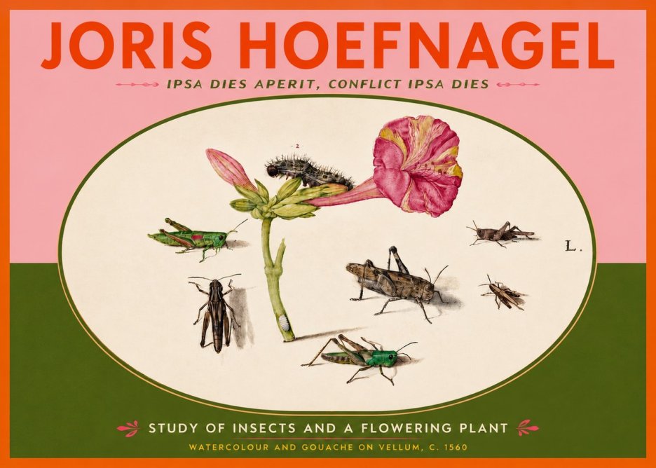 Joris Hoefnagel Study of Insects and a Flowering Plant No4 - Juliste