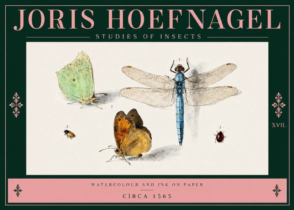 Joris Hoefnagel A Study of Butterflies, Dragonflies and Beetles No4 - Juliste