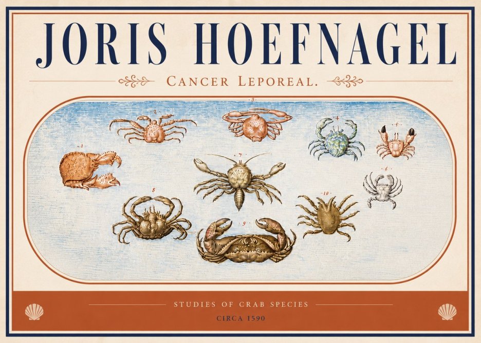 Joris Hoefnagel Cancer Leporeal. No4 - Juliste