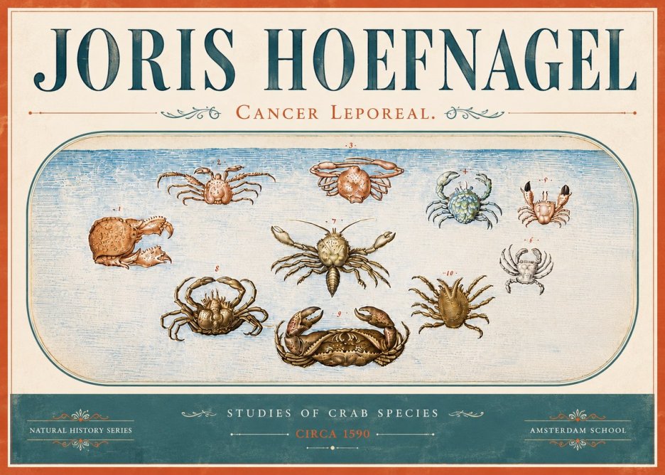 Joris Hoefnagel Cancer Leporeal. No6 - Juliste