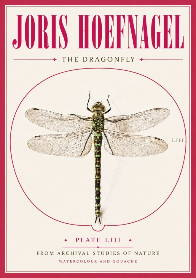 Joris Hoefnagel The Dragonfly No5 - Juliste