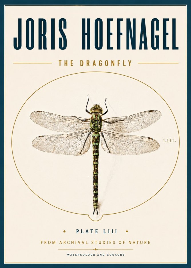 Joris Hoefnagel The Dragonfly No6 - Juliste