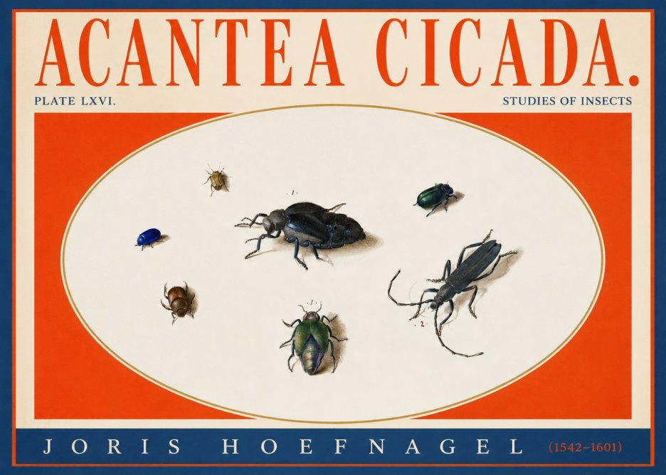 Joris Hoefnagel Acanthia Cicada No4 - Juliste