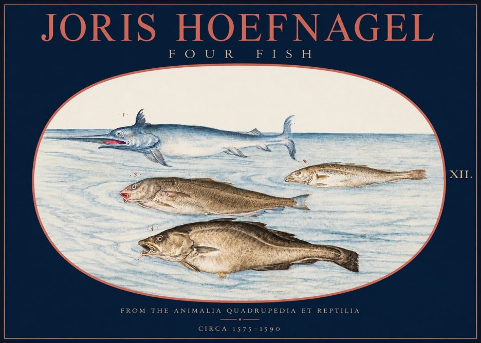 Joris Hoefnagel Four Fish No2 - Juliste