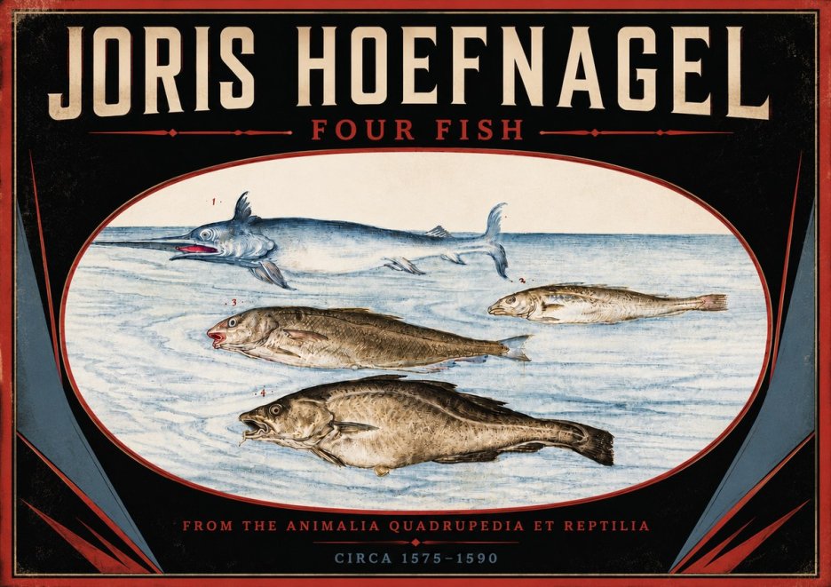 Joris Hoefnagel Four Fish No5 - Juliste