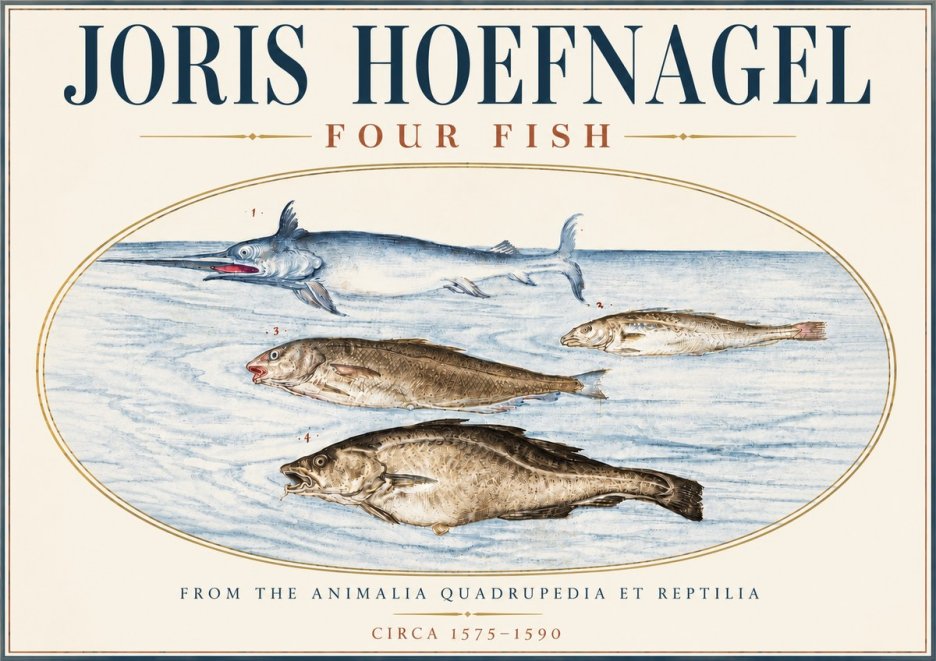 Joris Hoefnagel Four Fish No6 - Juliste