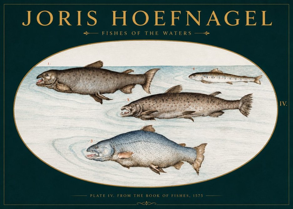 Joris Hoefnagel Fishes of the Waters I No3 - Juliste