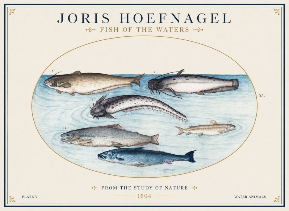 Joris Hoefnagel Fish of the Waters No1 - Juliste