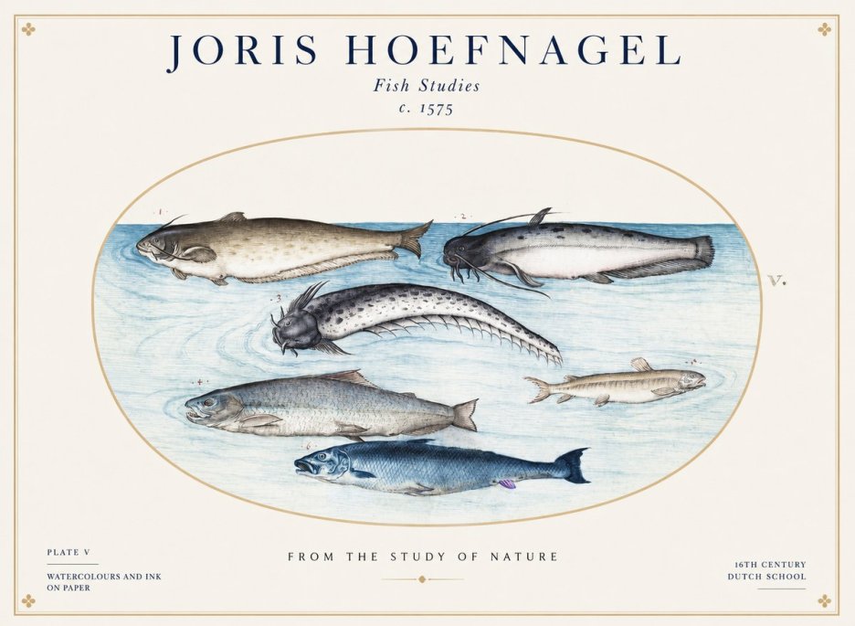 Joris Hoefnagel Fish of the Waters No2 - Juliste