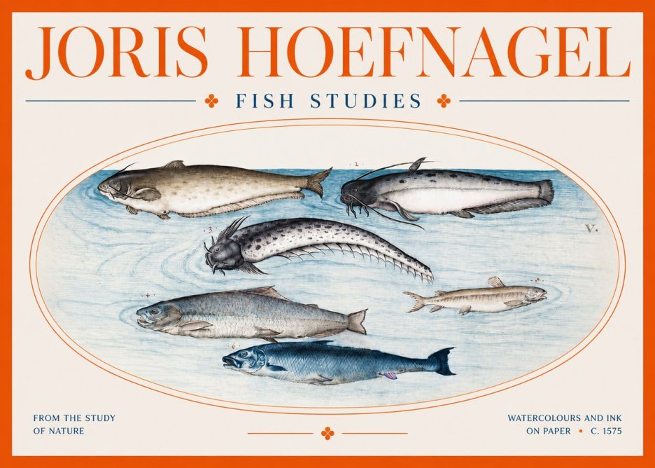 Joris Hoefnagel Fish of the Waters No3 - Juliste