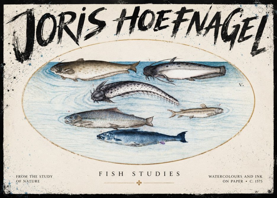 Joris Hoefnagel Fish of the Waters No5 - Juliste