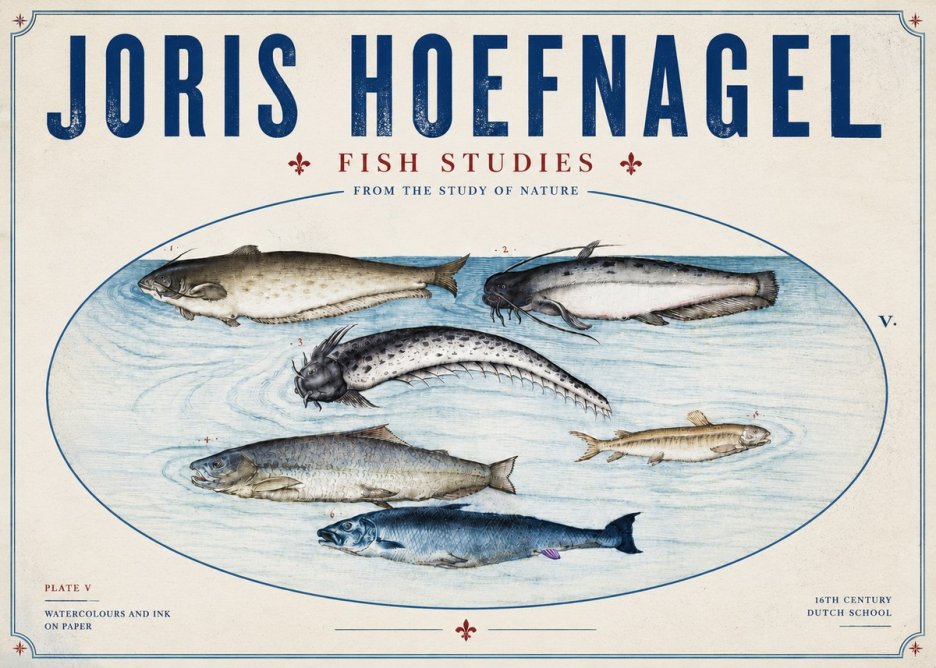 Joris Hoefnagel Fish of the Waters No6 - Juliste