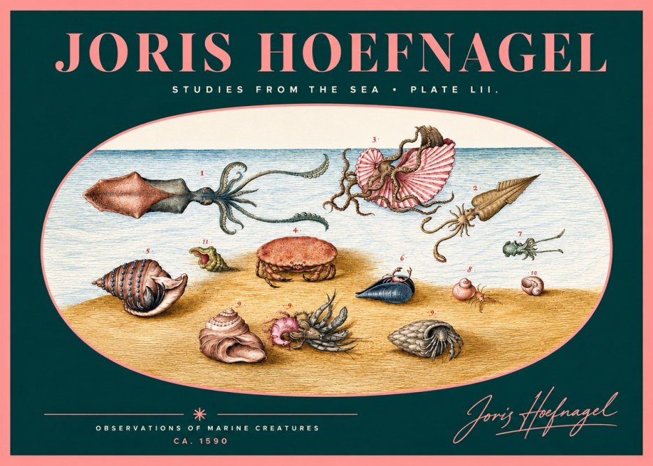 Joris Hoefnagel Marine Creatures - Plate Lii No2 - Juliste