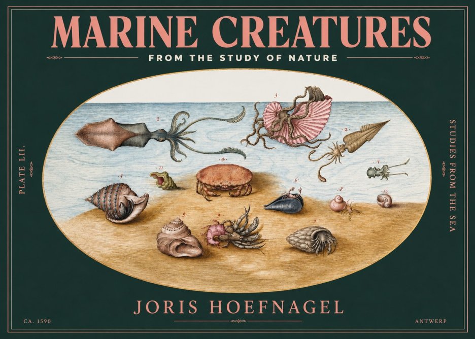 Joris Hoefnagel Marine Creatures - Plate Lii No3 - Juliste
