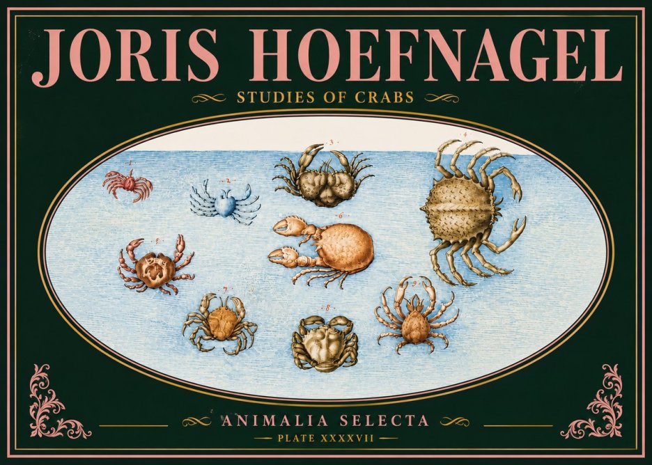 Joris Hoefnagel Studies of Crabs No5 - Juliste