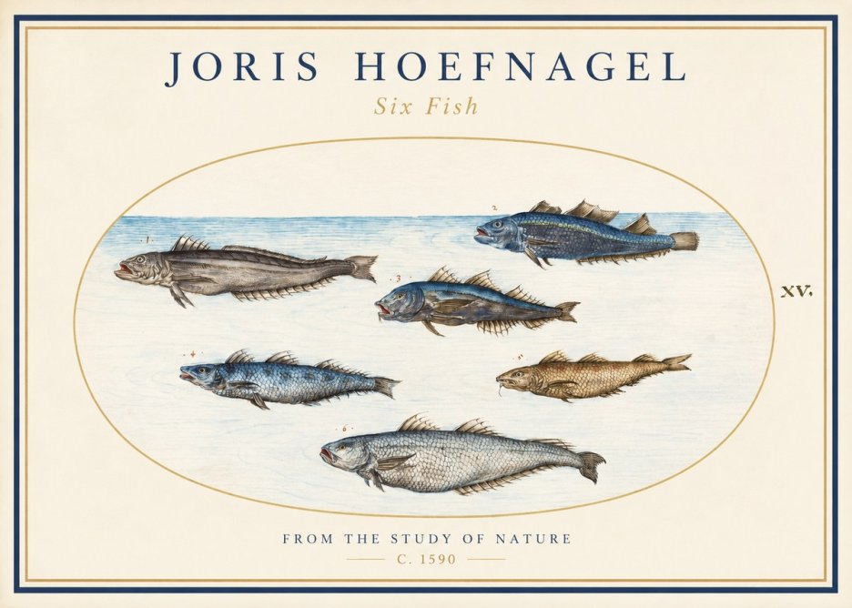 Joris Hoefnagel Six Fish No1 - Juliste