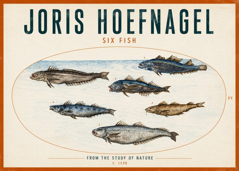 Joris Hoefnagel Six Fish No2 - Juliste