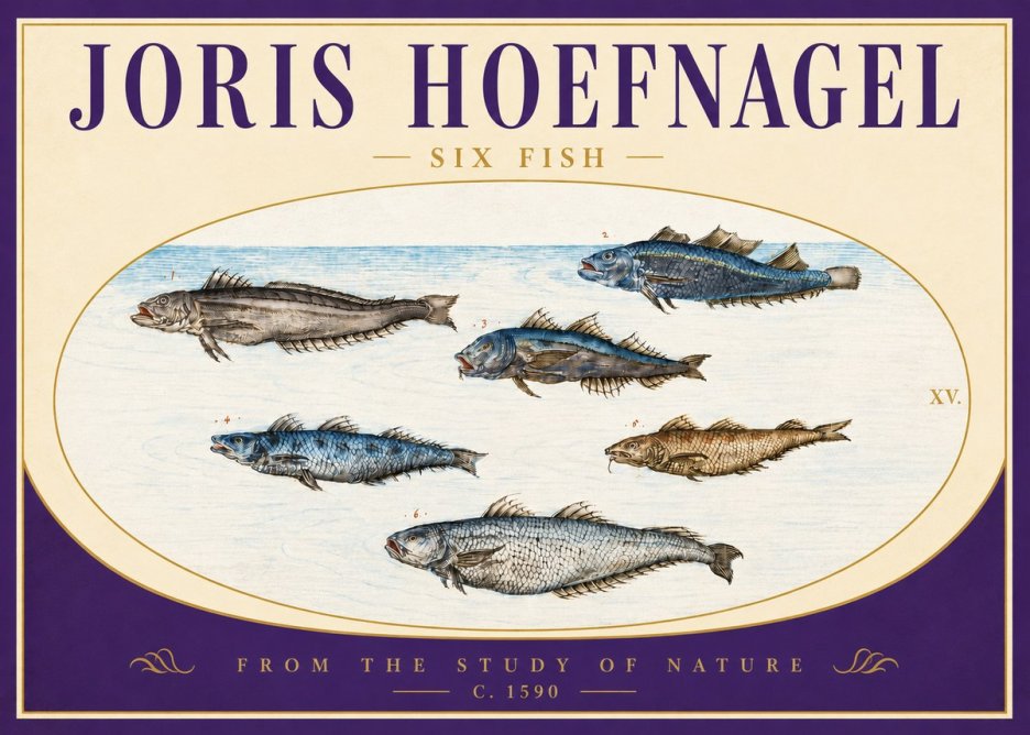 Joris Hoefnagel Six Fish No4 - Juliste