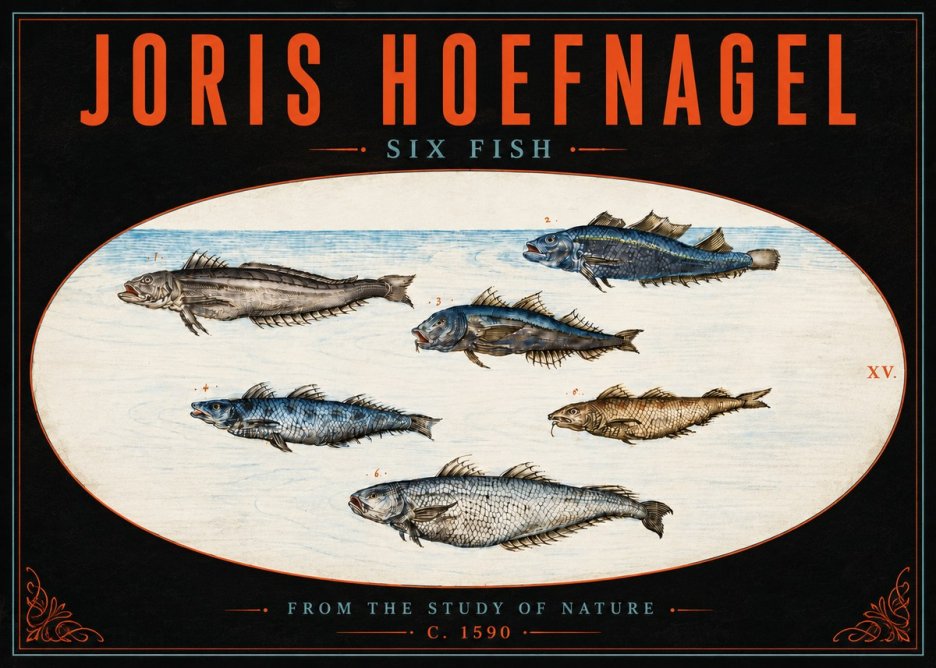 Joris Hoefnagel Six Fish No5 - Juliste