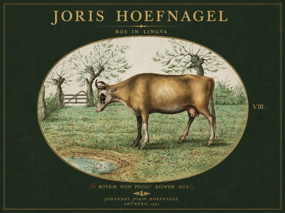 Joris Hoefnagel Bos in Lingva No3 - Juliste