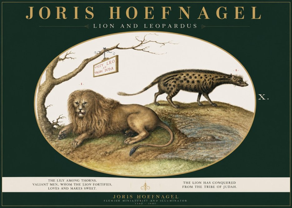 Joris Hoefnagel Lion and Spotted Hyena No3 - Juliste