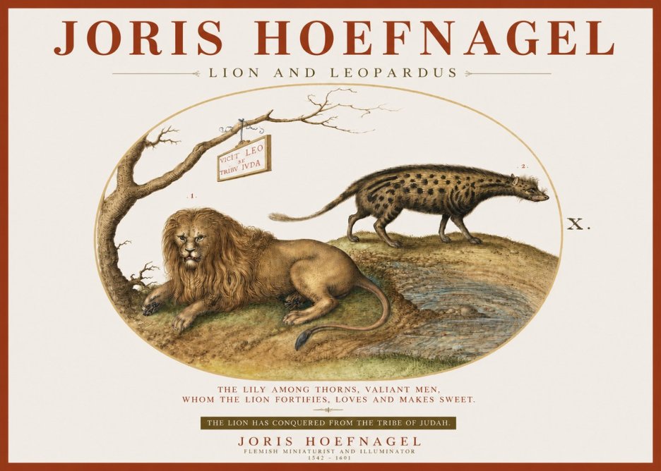 Joris Hoefnagel Lion and Spotted Hyena No4 - Juliste