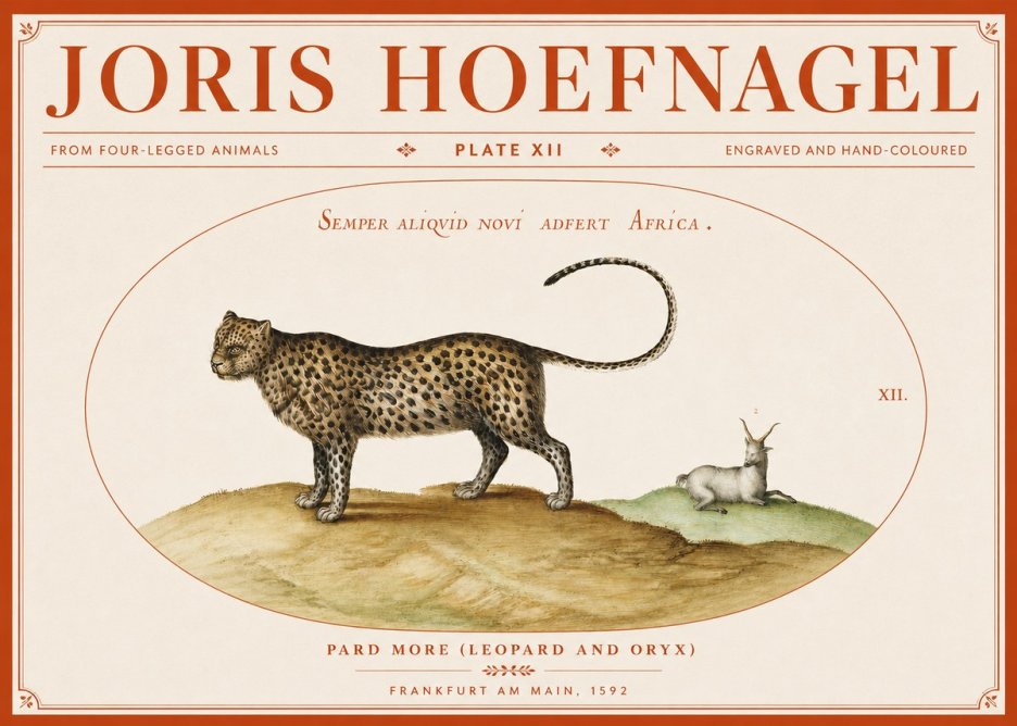 Joris Hoefnagel Pard More (Leopard and Oryx) No3 - Juliste