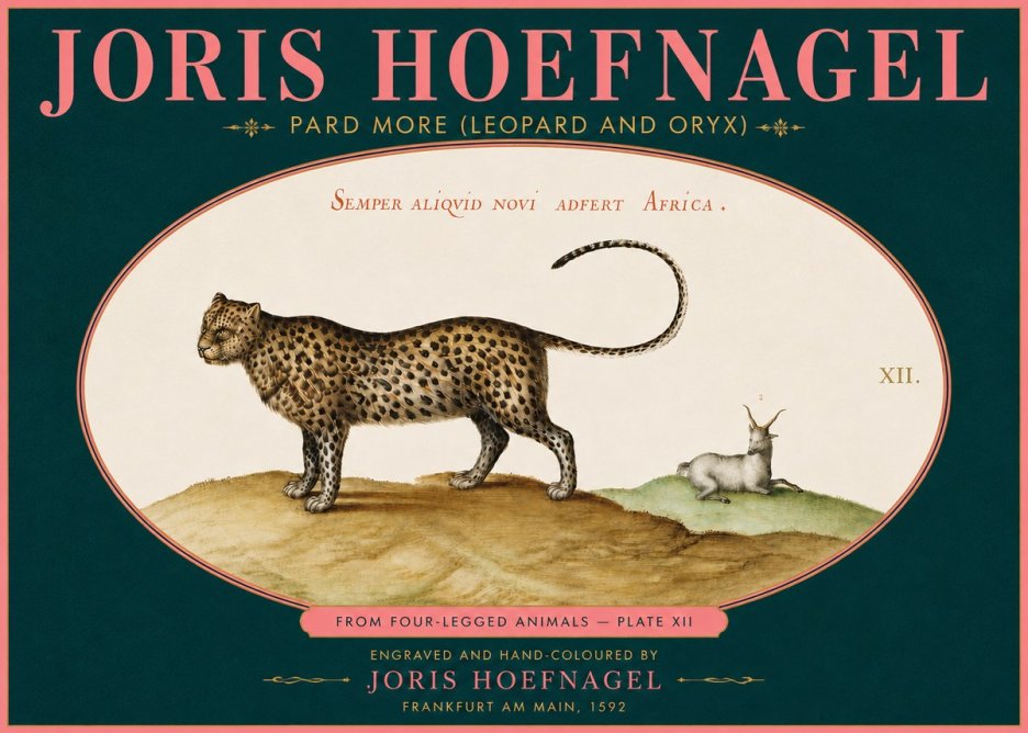 Joris Hoefnagel Pard More (Leopard and Oryx) No5 - Juliste