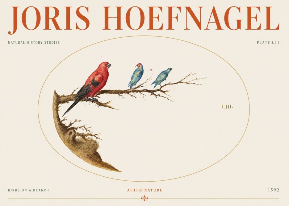 Joris Hoefnagel Birds on a Branch No5 - Juliste