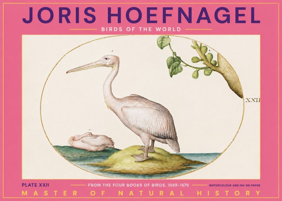 Joris Hoefnagel Plate Xxii No2 - Juliste