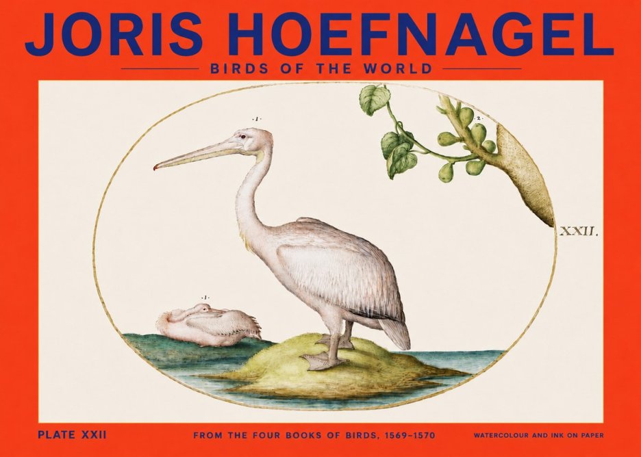 Joris Hoefnagel Plate Xxii No4 - Juliste