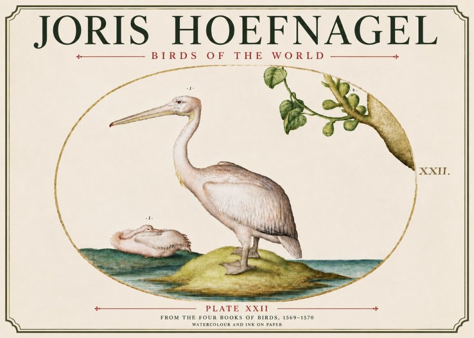 Joris Hoefnagel Plate Xxii No6 - Juliste