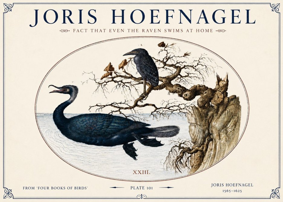 Joris Hoefnagel Fact That Even the Raven Swims at Home No4 - Juliste