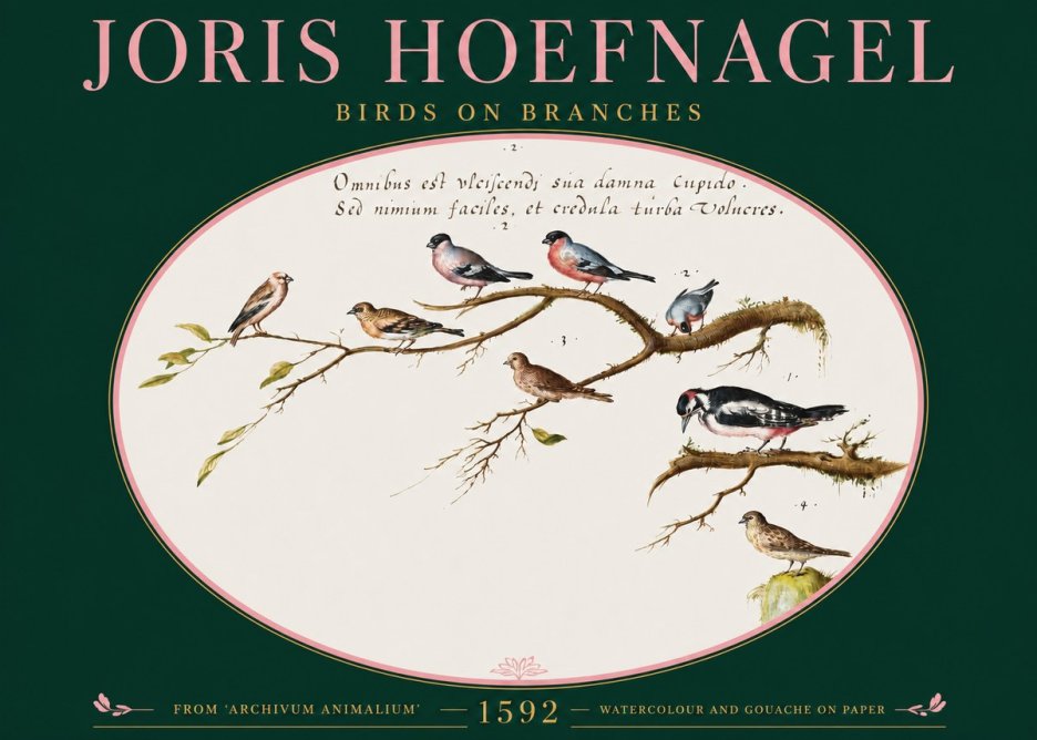 Joris Hoefnagel Birds on Branches No2 - Juliste