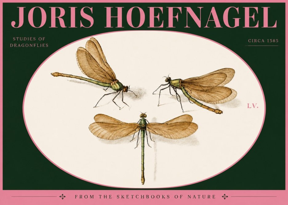 Joris Hoefnagel Studies of Dragonflies No4 - Juliste