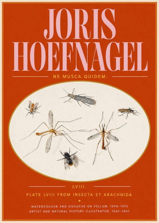 Joris Hoefnagel Plate Lviii from Insecta Et Arachnida No5 - Juliste