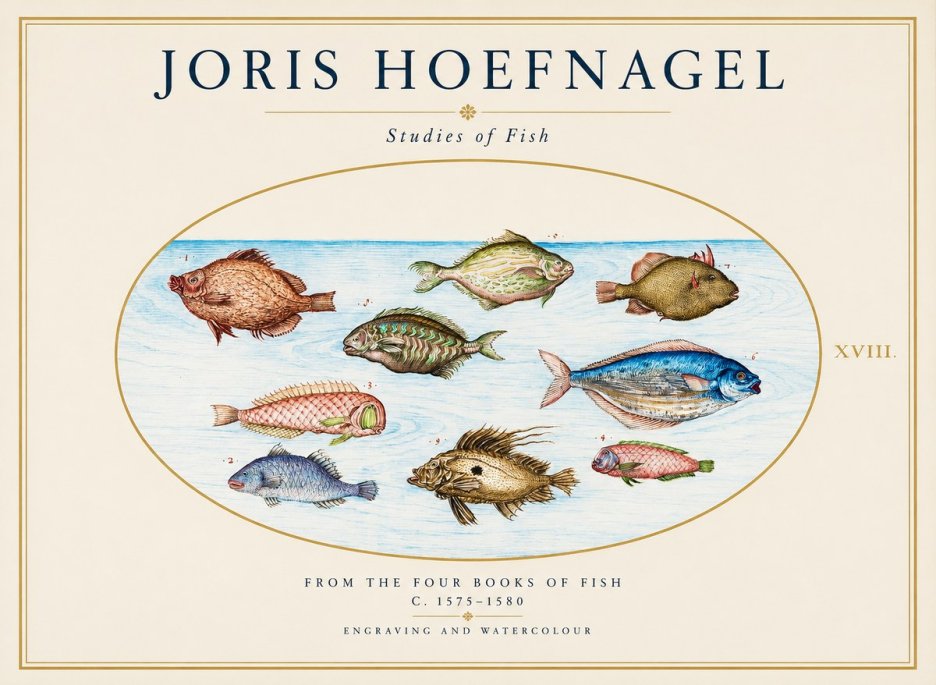 Joris Hoefnagel Studies of Fish I No1 - Juliste