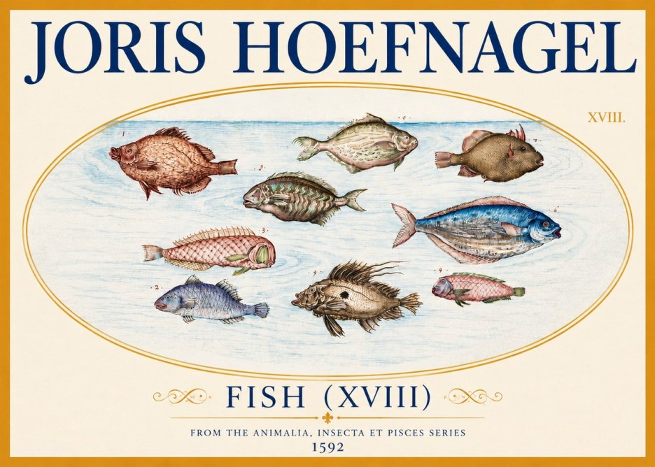 Joris Hoefnagel Studies of Fish I No4 - Juliste
