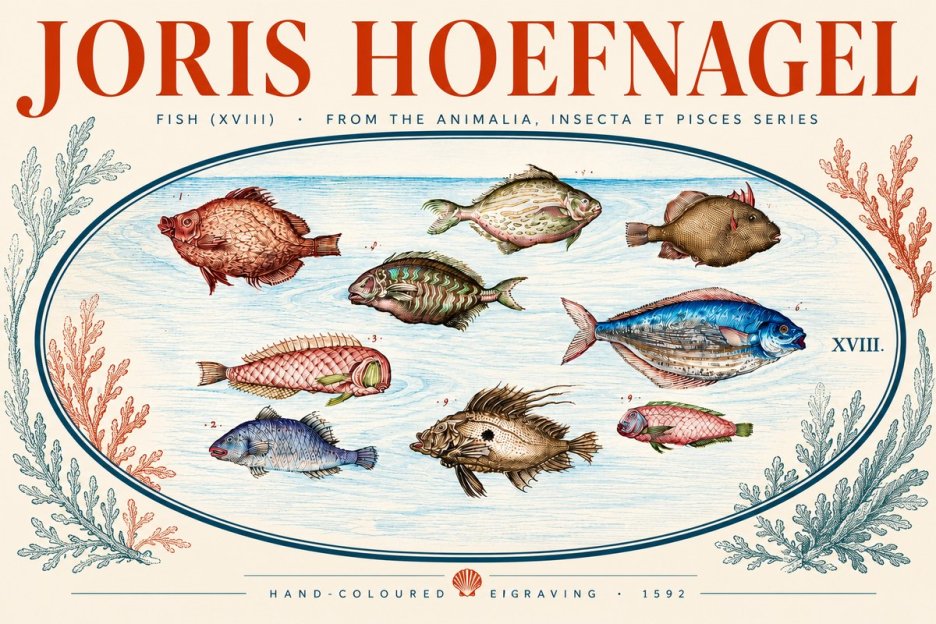 Joris Hoefnagel Studies of Fish I No5 - Juliste