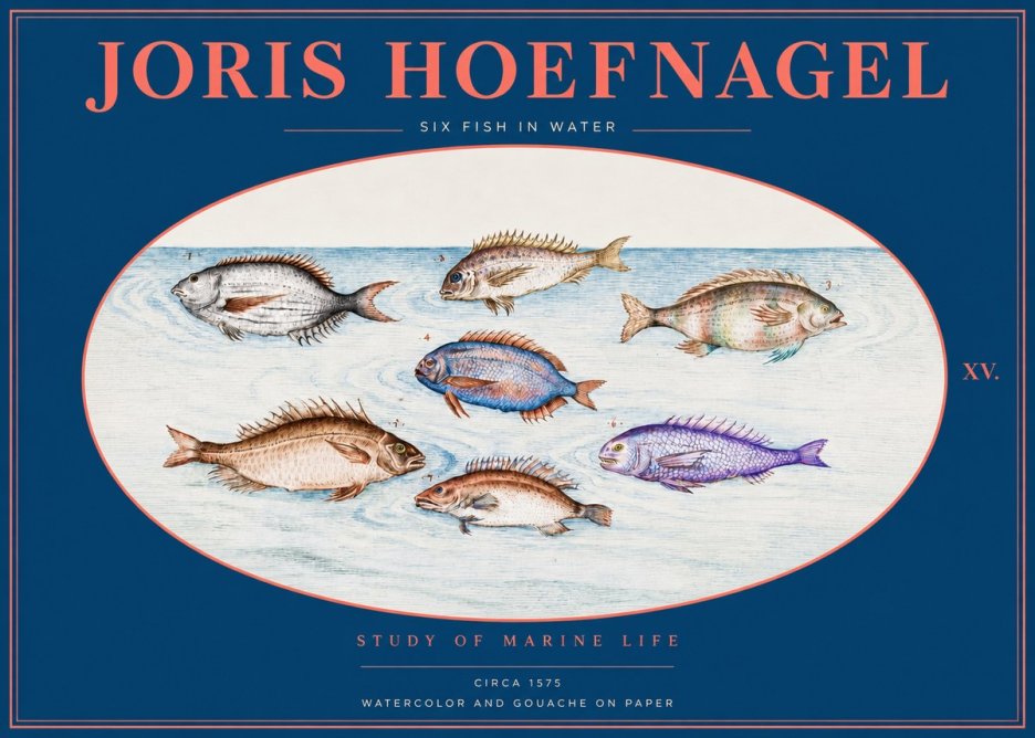 Joris Hoefnagel Six Fish in Water No2 - Juliste