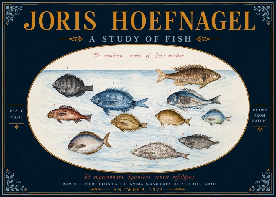 Joris Hoefnagel A Study of Fish No5 - Juliste