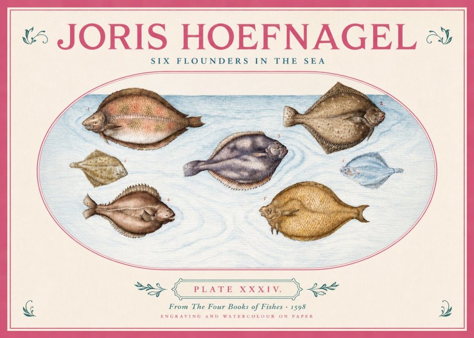 Joris Hoefnagel Six Flounders in the Sea No2 - Juliste