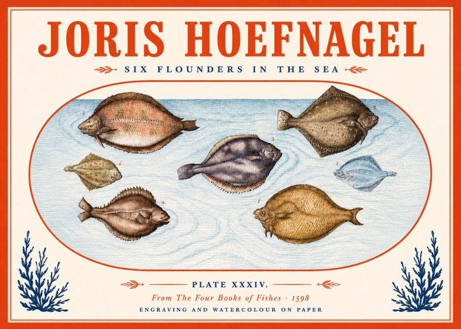 Joris Hoefnagel Six Flounders in the Sea No5 - Juliste