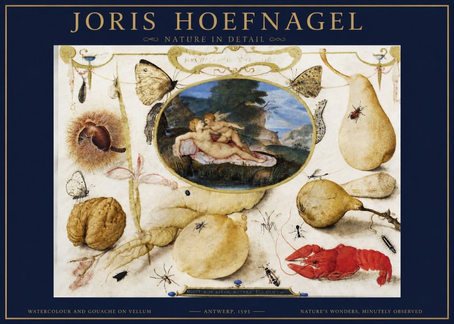 Joris Hoefnagel Nature in Detail No2 - Juliste