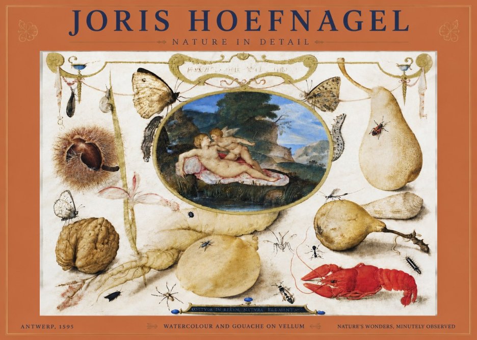 Joris Hoefnagel Nature in Detail No4 - Juliste