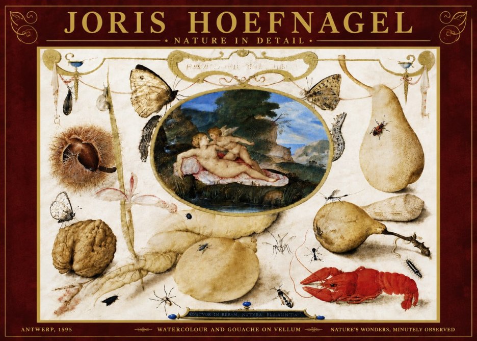 Joris Hoefnagel Nature in Detail No6 - Juliste