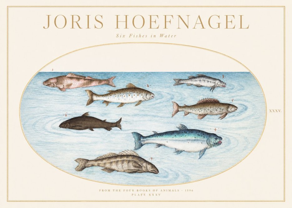 Joris Hoefnagel Six Fishes in Water I No1 - Juliste